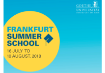 Teaser frankfurt summer school